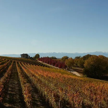 Cantina Dei 5 Sogni * Monforte dʼAlba