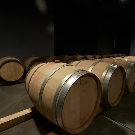 Séjour à la ferme Cantina Dei 5 Sogni Monforte dʼAlba