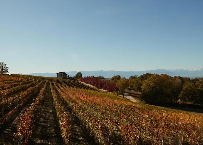 Cantina Dei 5 Sogni * Monforte dʼAlba