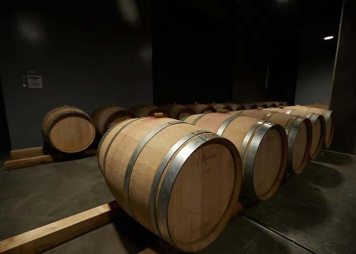 Lantgård Cantina Dei 5 Sogni Monforte dʼAlba