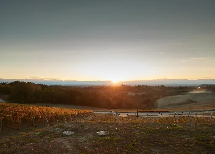 Cantina Dei 5 Sogni Monforte dʼAlba